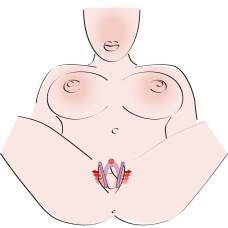 Стимулятор G-точки - G-spot Labia Spreader