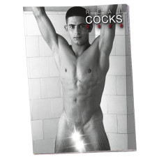 Еротичний календар - Pin-up Calendar Real Cocks 2026