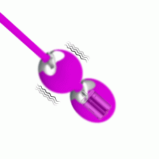 Вагінальні віброкульки - Pretty Love Willie Vibrating Kegel Balls Purple