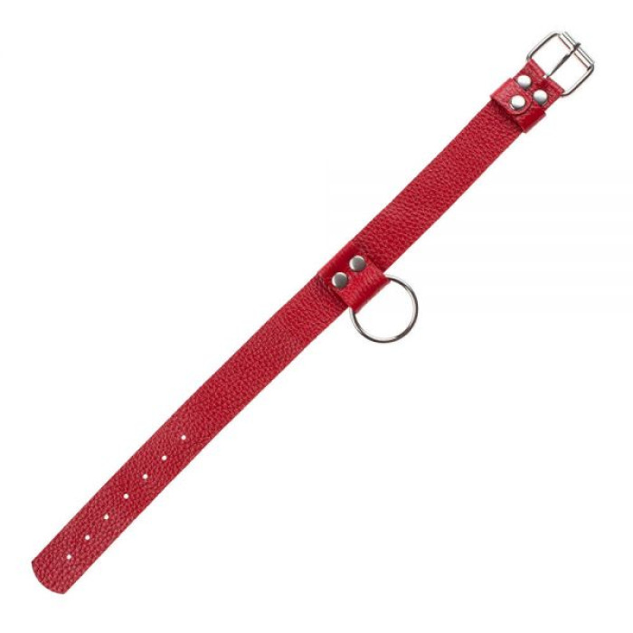 Нашийник Ring of Humiliti Red