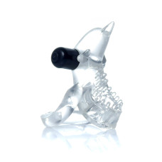 Ерекційне кільце - Dolphin Vibro CockRing Clear
