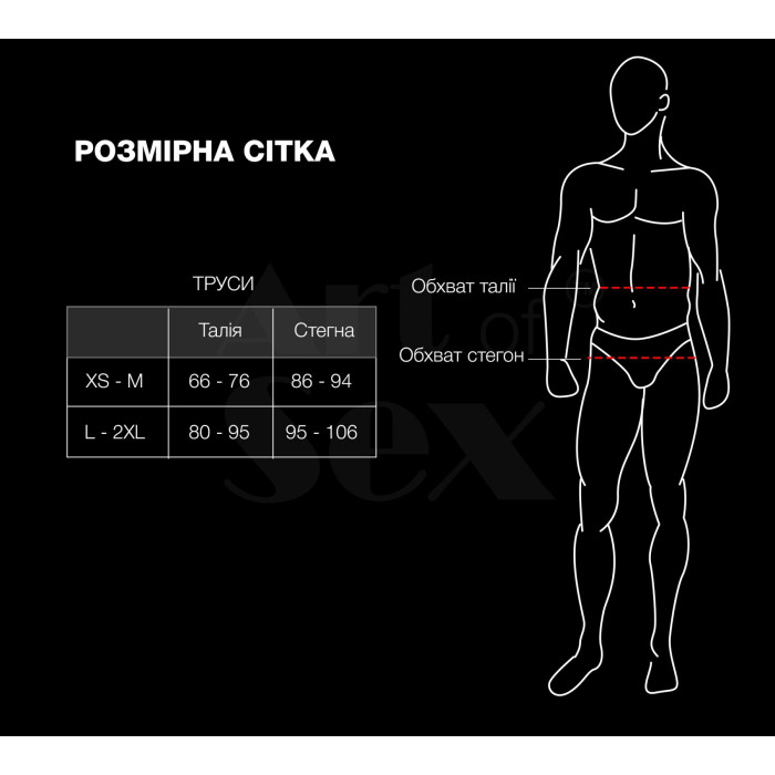 Чоловічі труси з сітки Art of Sex — Demir, колір чорний, розмір L–2XL