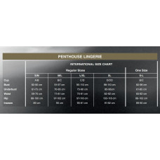 Боді Penthouse Salute Me XL Black (дефекти на пакованні!!!)